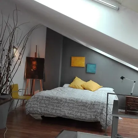 Toletum Cost Lofts Diafanos O 2dormitorios Parking Municipal Gratis Al Aire Libre A 100m Apartment *