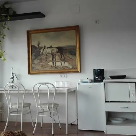 Toletum Cost Lofts Diafanos O 2dormitorios Parking Municipal Gratis Al Aire Libre A 100m * Toledo